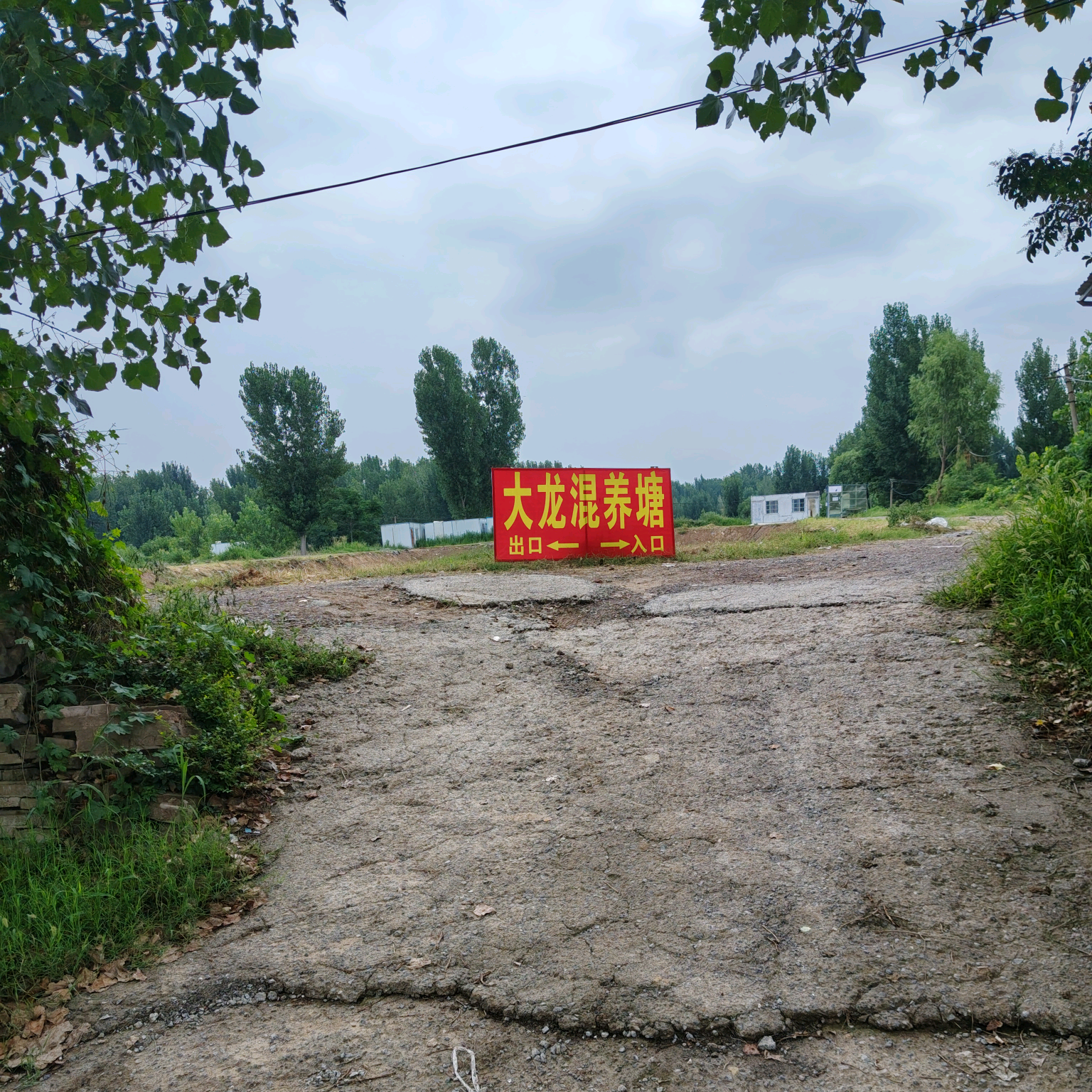 大龙混养大物塘 群聊头像