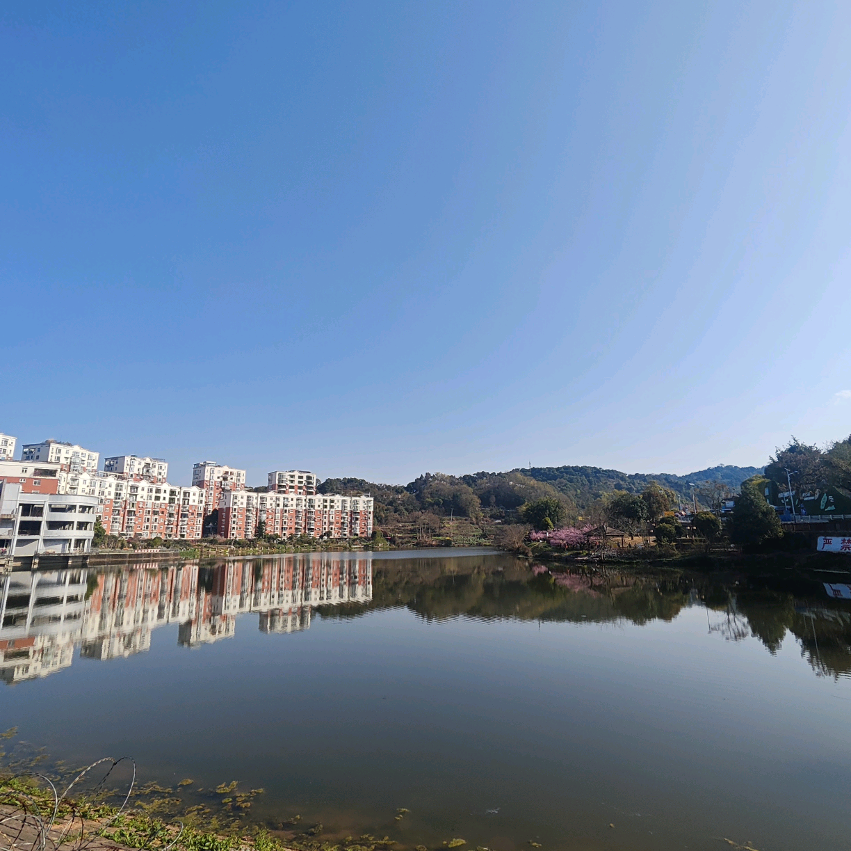 免费露营钓点公开群 群聊头像