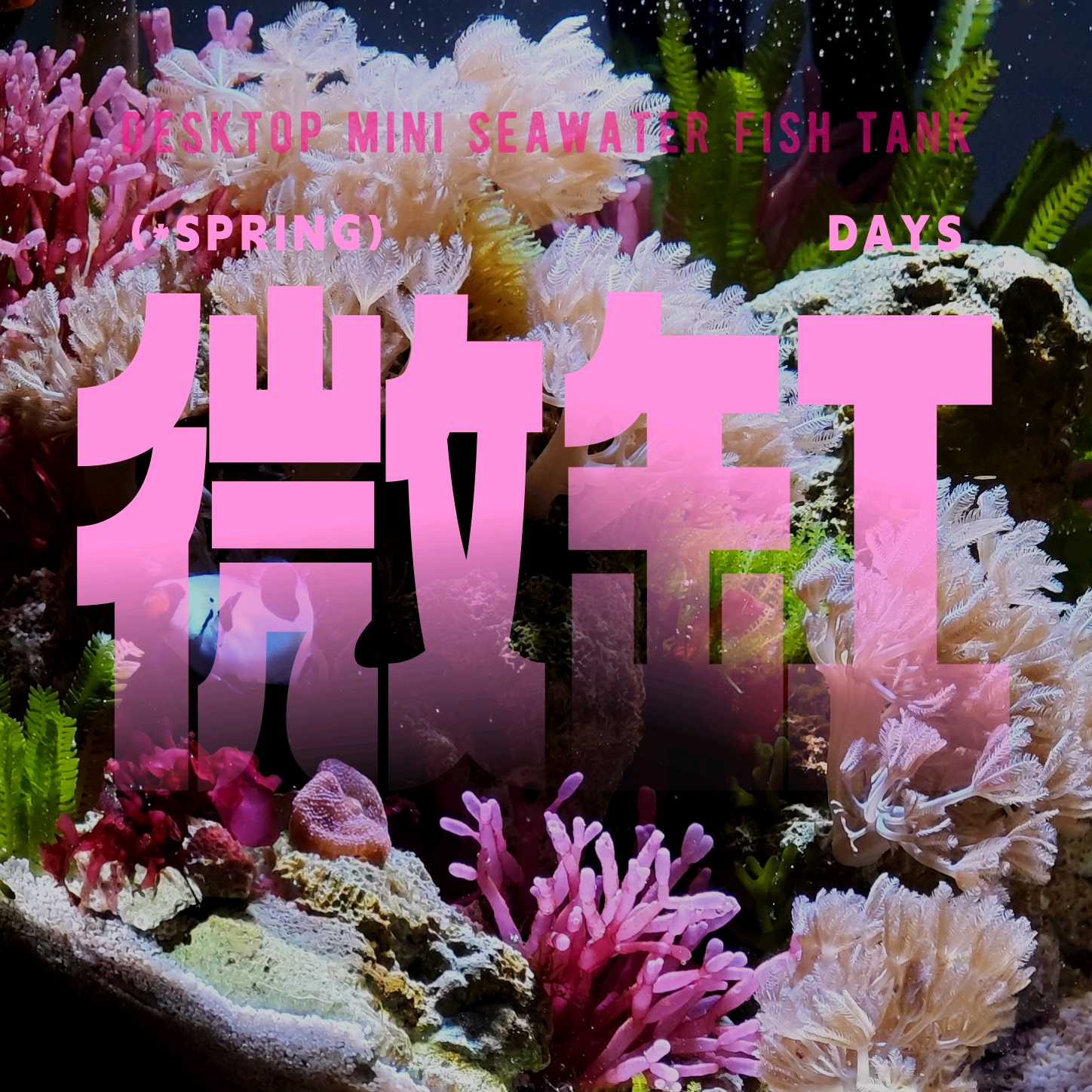 微海缸研究所2群 群聊头像