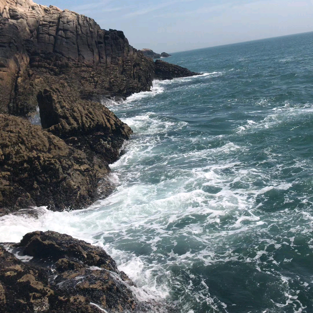 钓鱼交流群🎣 群聊头像