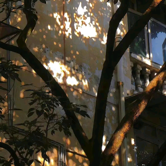 影视综艺交流群 群聊头像