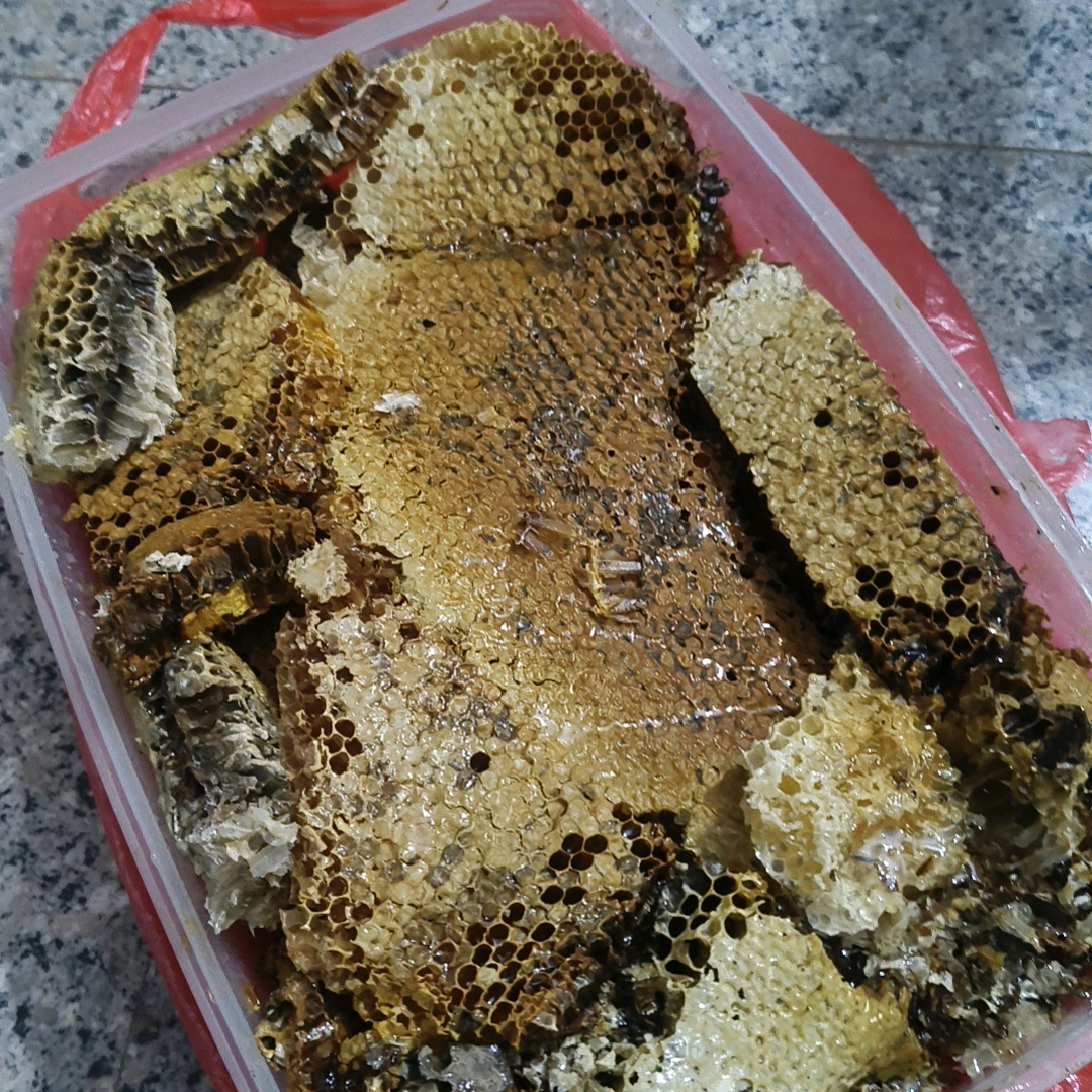 户外找蜂 群聊头像
