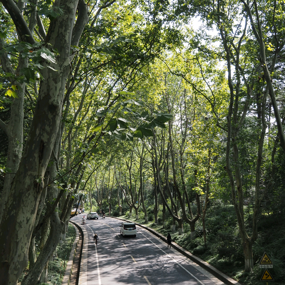 南京旅游交流2群 群聊头像