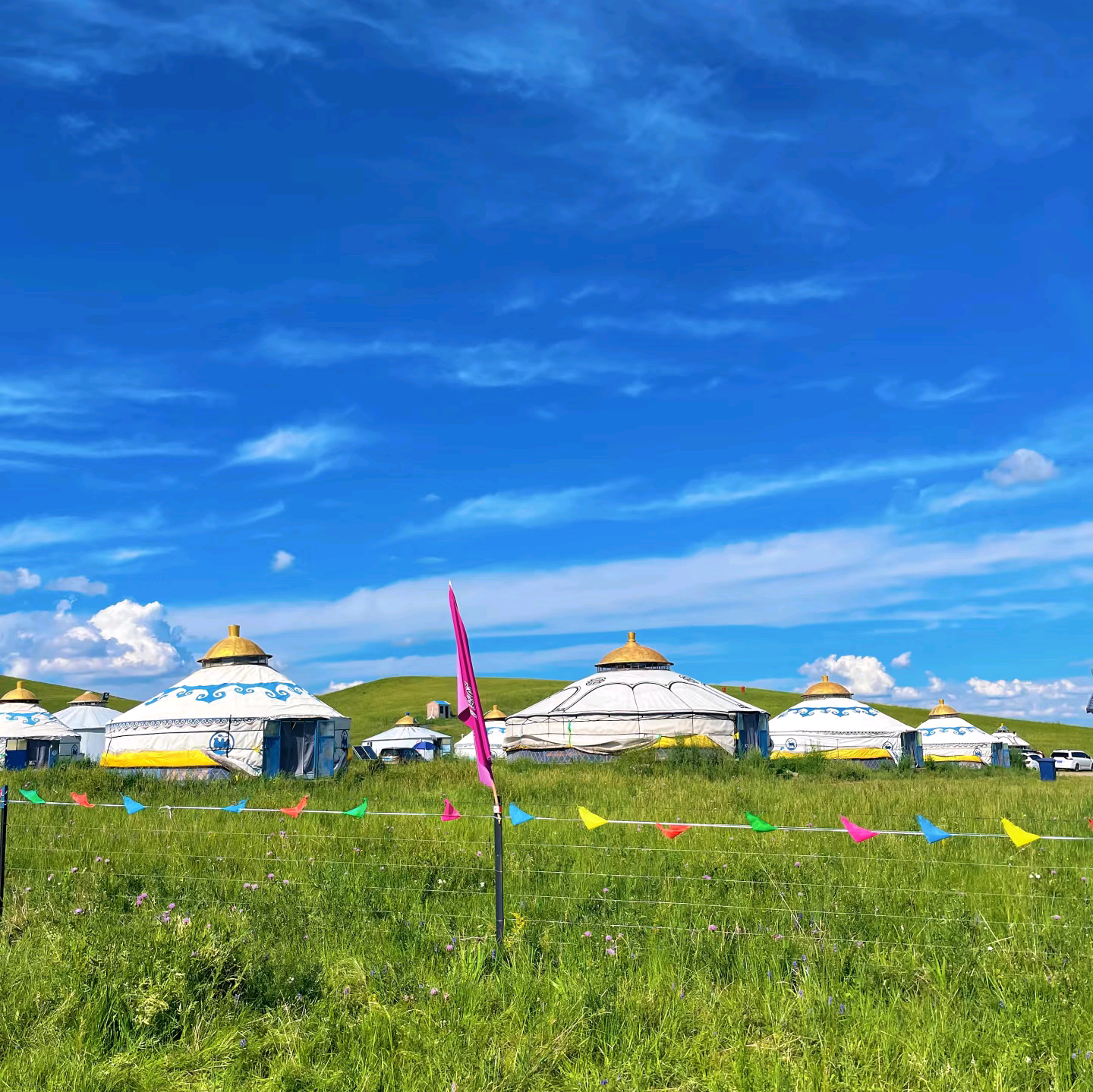 热阿线达达线玉龙沙湖自驾游避坑1群 群聊头像