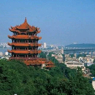 湖北大家庭 群聊头像