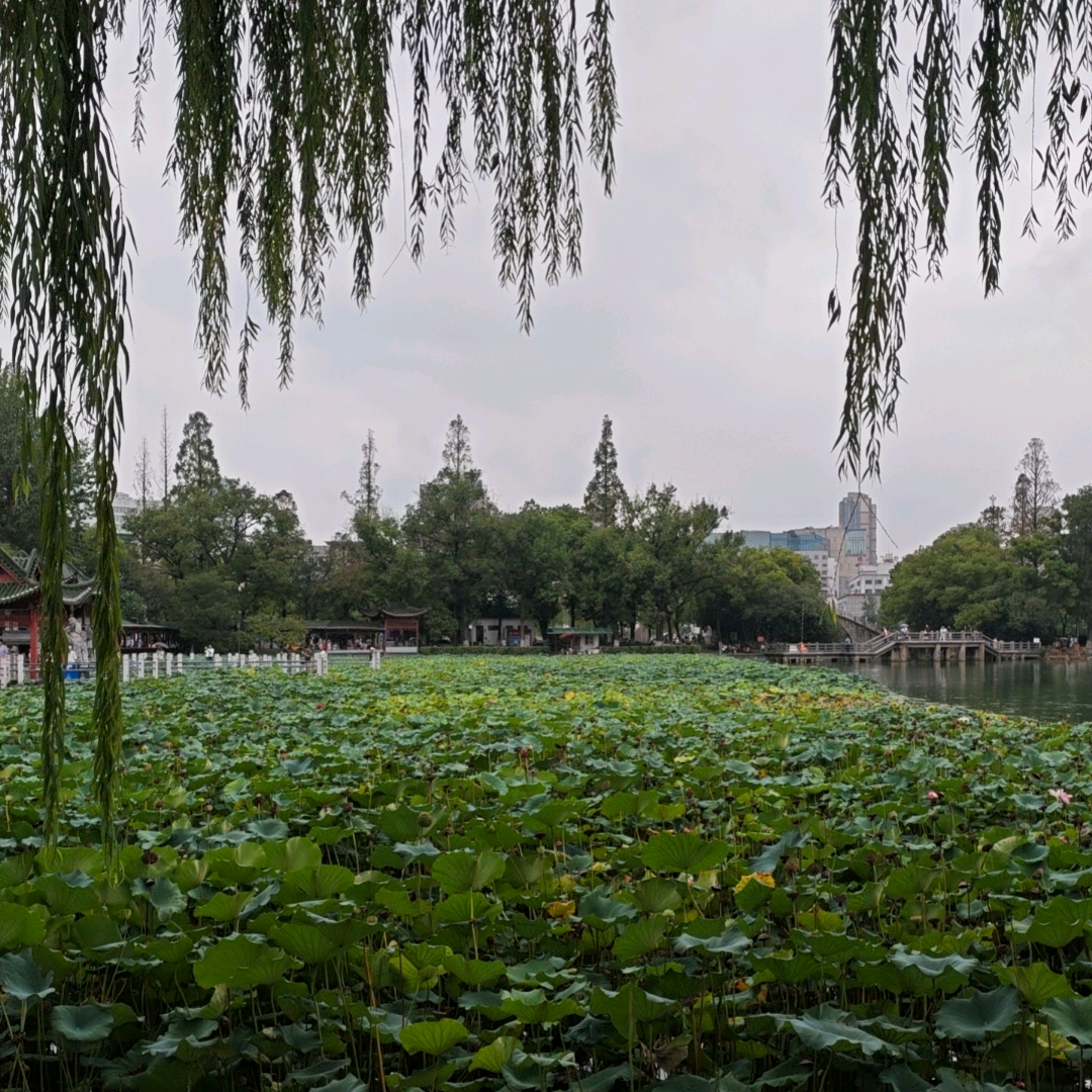 一起分享快乐 群聊头像