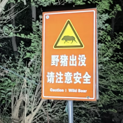 南京周边徒步搭子群 群聊头像
