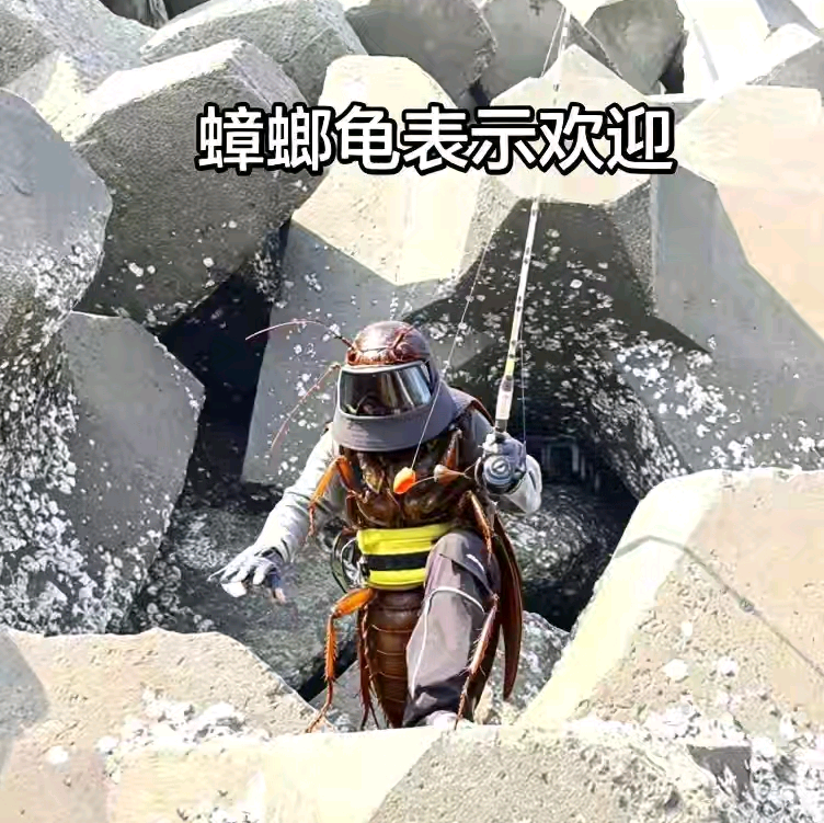 钓鱼探讨群 群聊头像