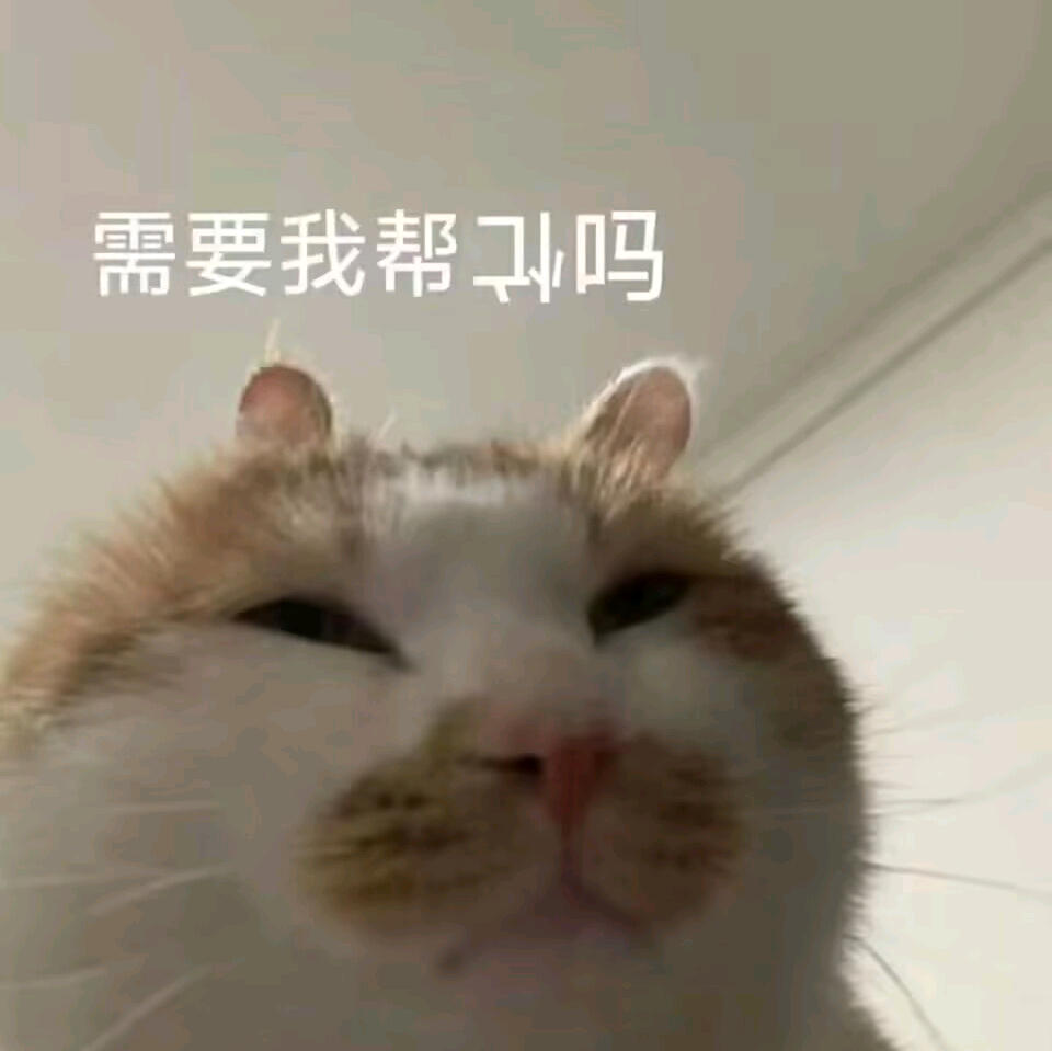 提瓦特学园 群聊头像