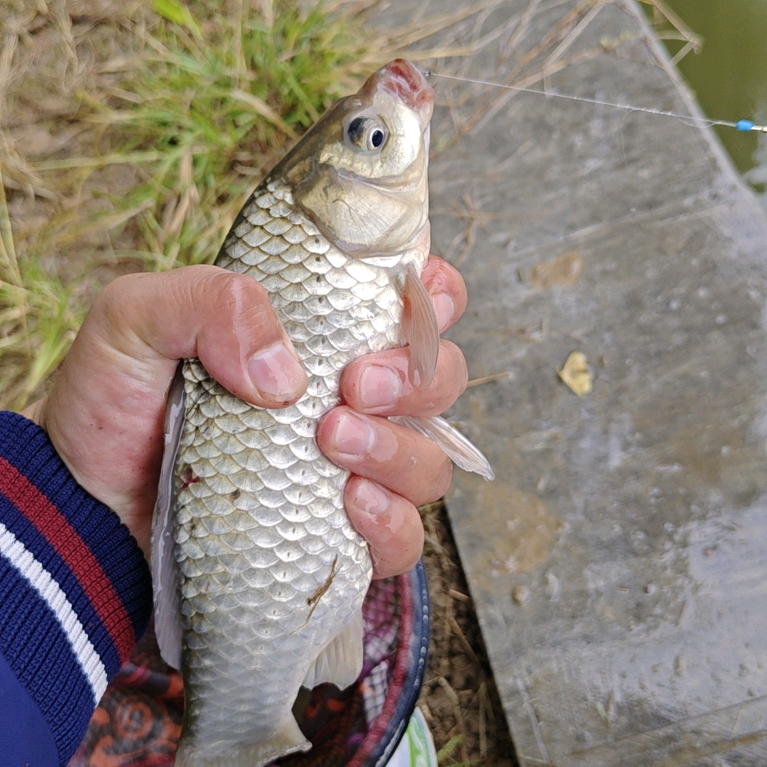 野钓 群聊头像