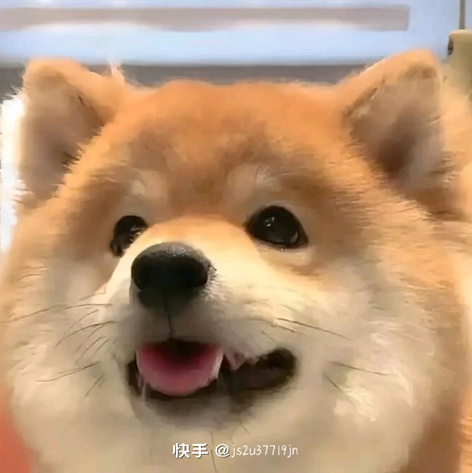 配音群 群聊头像