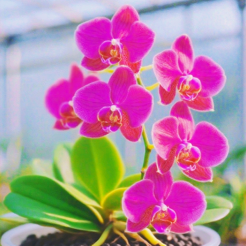 柒柒花友1群 群聊头像