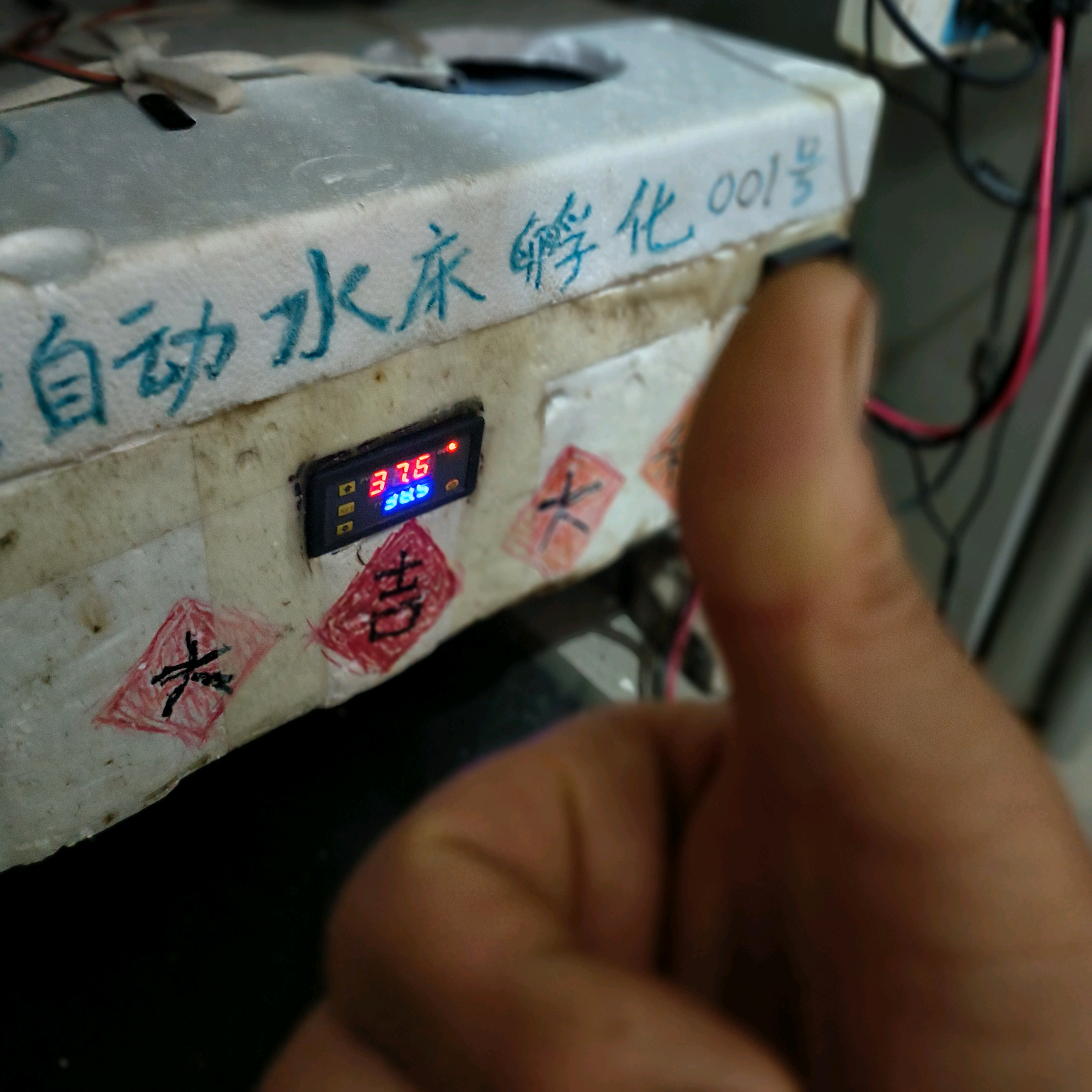 水床改自动翻蛋 群聊头像