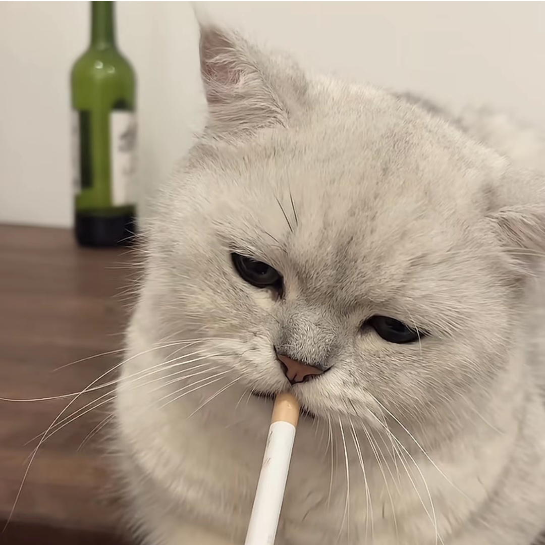 摄影分享群 群聊头像