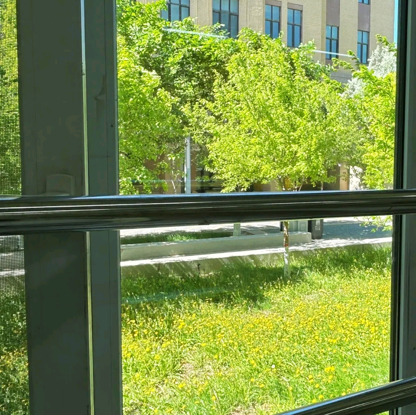 新疆师范大学新生群 群聊头像