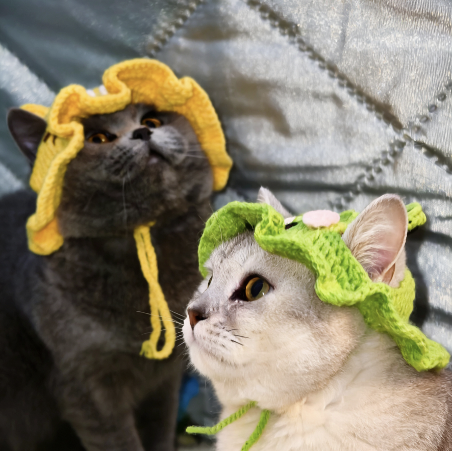 萌宠办事处·二😼 群聊头像