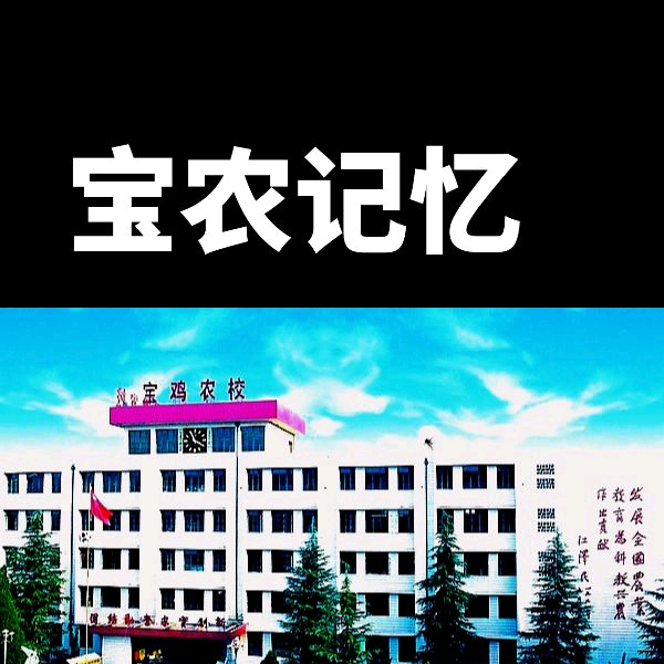 宝鸡农校 群聊头像