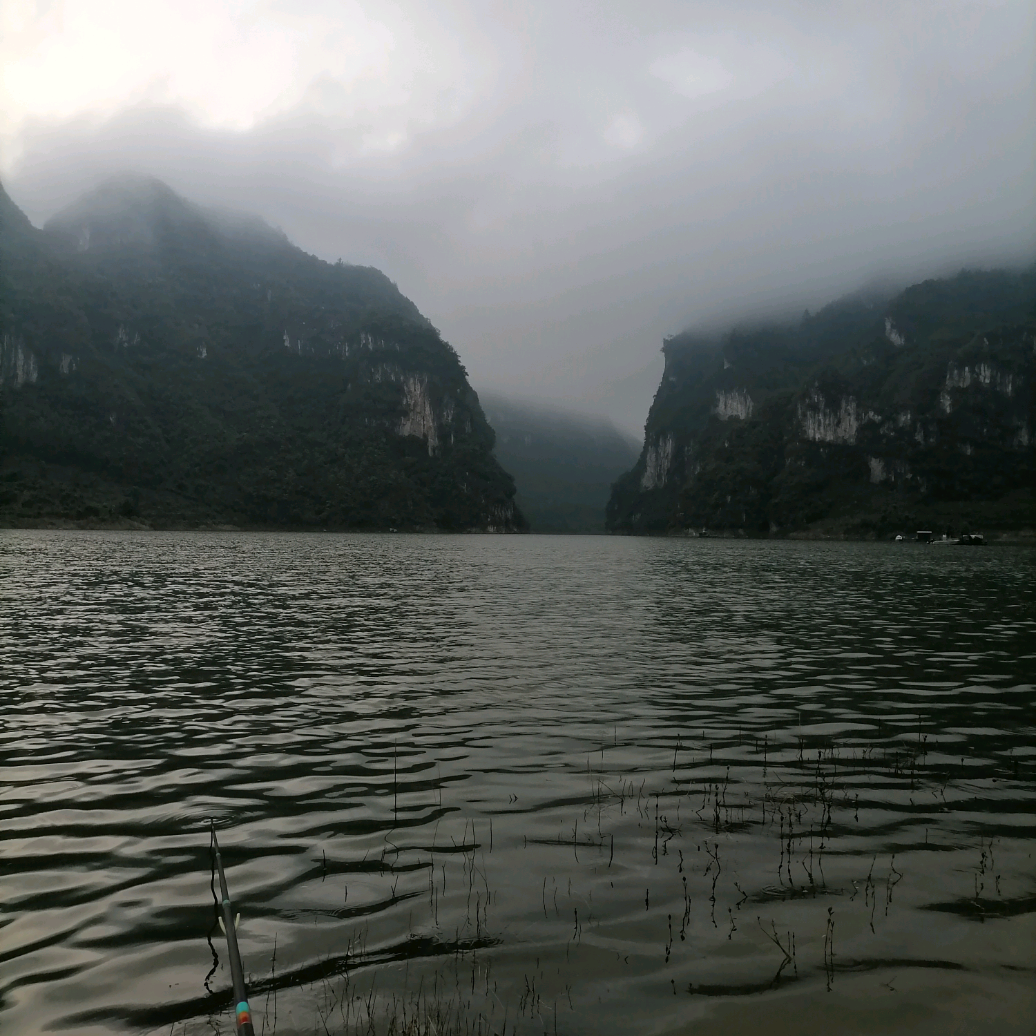 大宇钓鱼 群聊头像