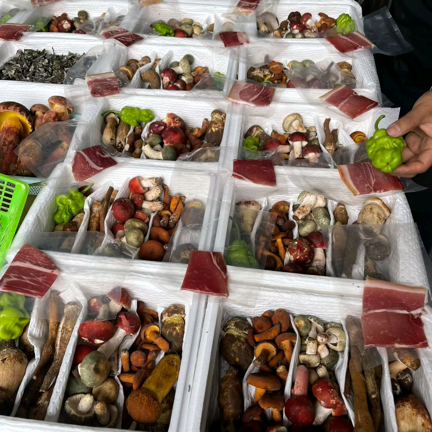 云南野生菌2群 群聊头像