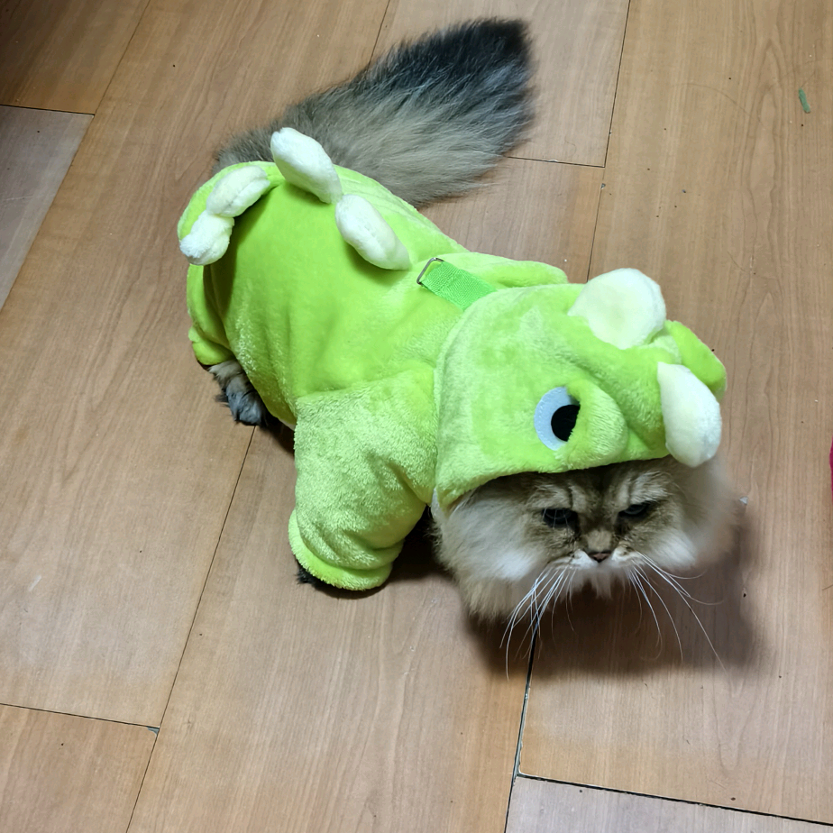 小佳阵容群 群聊头像