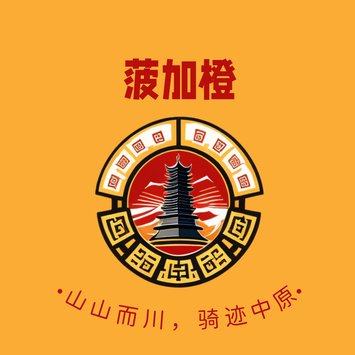 郑州骑行群🚲菠加橙🍍🍊 群聊头像