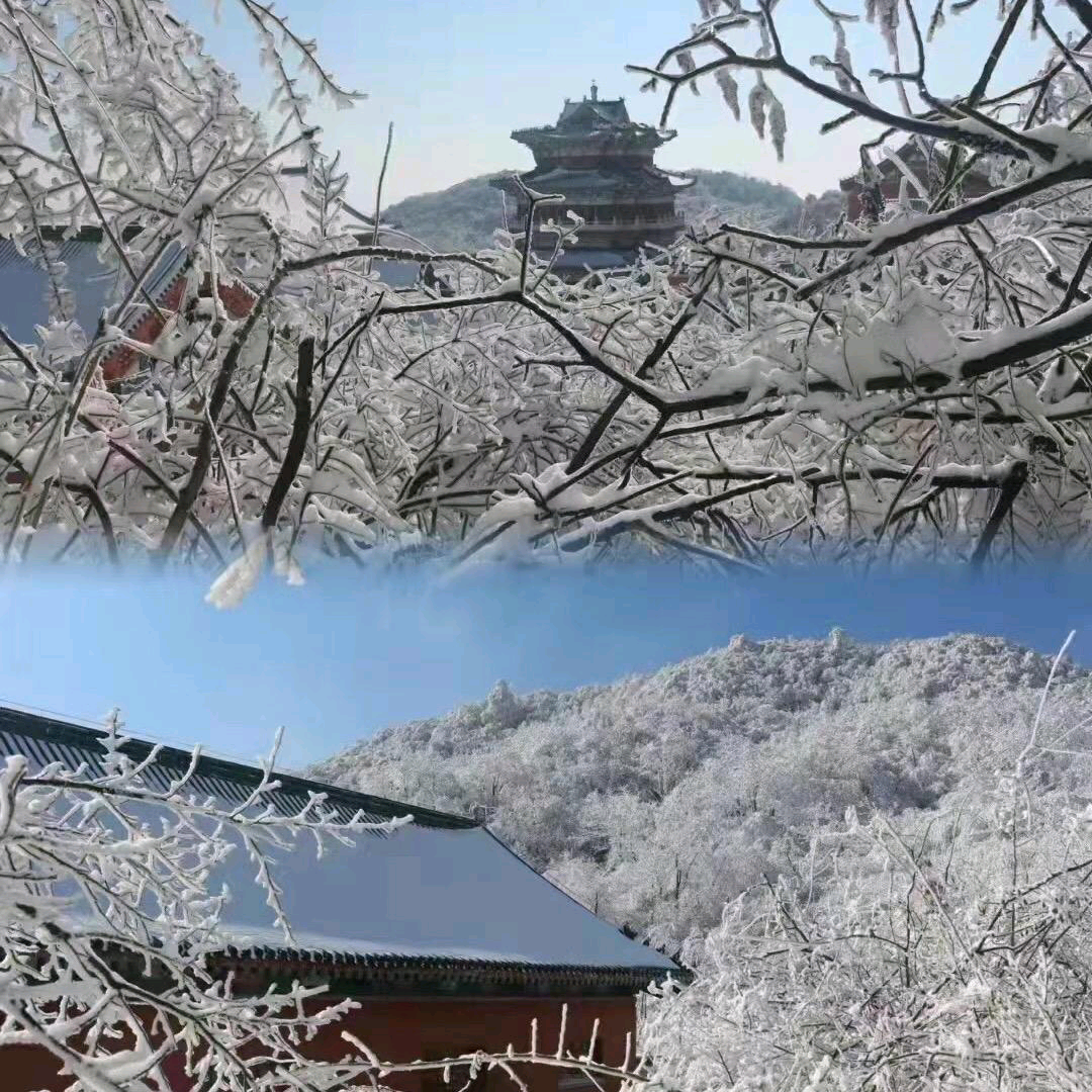 同路人梦想起航群 群聊头像