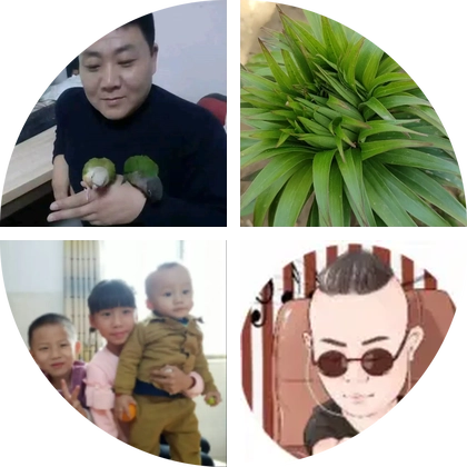 董哥鸟舍 群聊头像