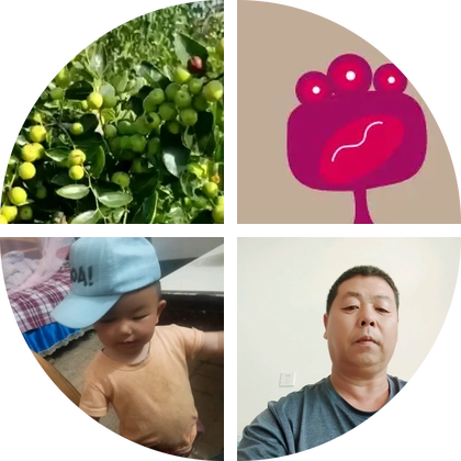 酸枣种植五头镇河北村的粉丝1群 群聊头像