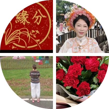 颍上城北红娘的粉丝1群 群聊头像