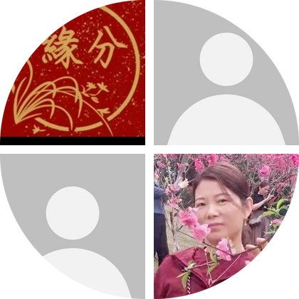 颍上城北红娘的粉丝1群 群聊头像