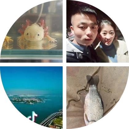 野钓分享群1 群聊头像