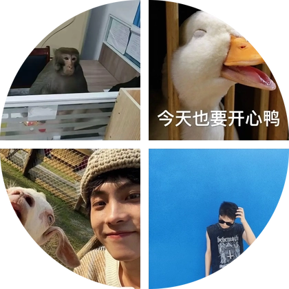 海克斯大乱斗斗斗斗🫘 群聊头像
