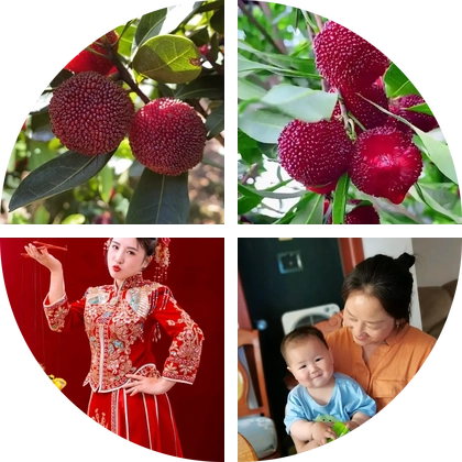 杨梅之约粉丝群 群聊头像