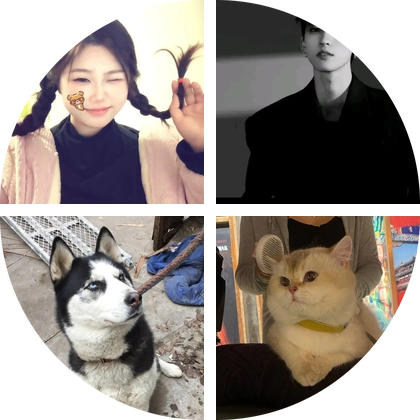 领养群🐱🐶 群聊头像