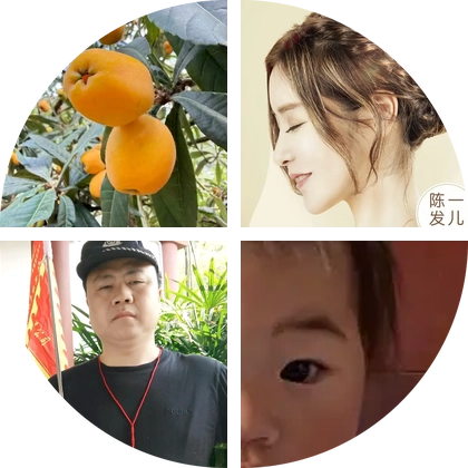 果树品种枝条互换交流群（500） 群聊头像