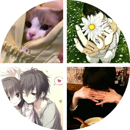 喵了个咪躲猫猫群 群聊头像