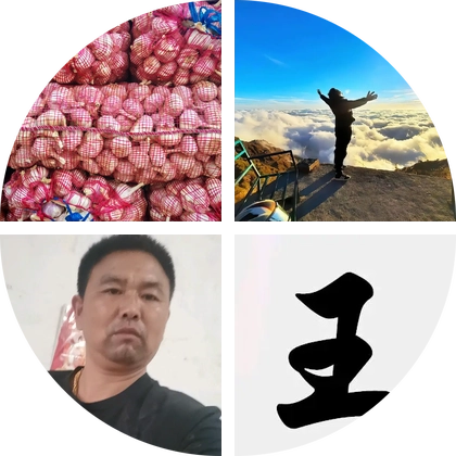 大蒜交流群(1)群 群聊头像