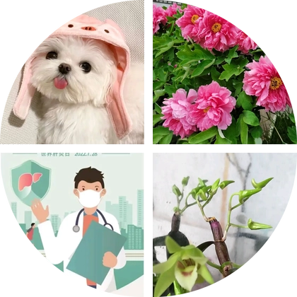 花间一笑的家人群 群聊头像