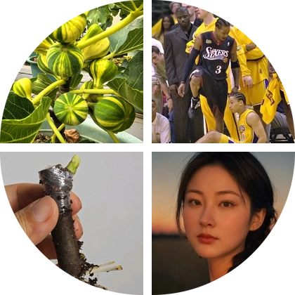 落落无花果搭子小院 群聊头像