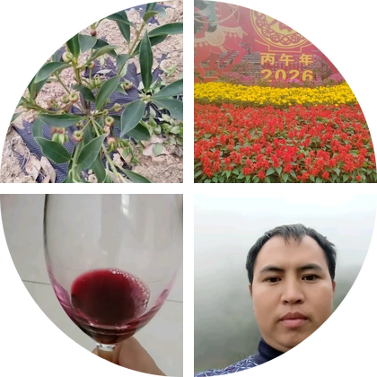 八角枝条互换群 群聊头像