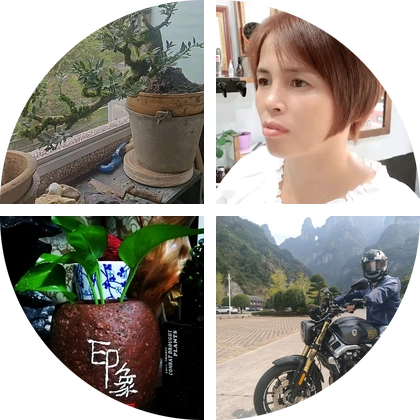 盆景交流群 群聊头像