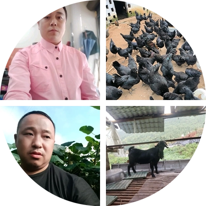 才哥，猎犬繁殖基地 群聊头像