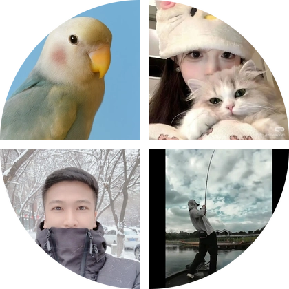 鹦鹉玩家交流群 群聊头像