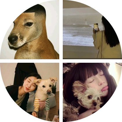 蒙阴烧鸟攻略 群聊头像