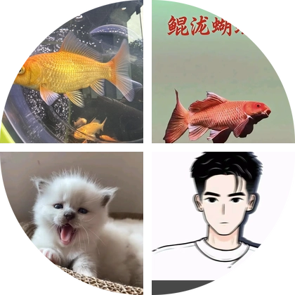 怪兽鱼房 群聊头像