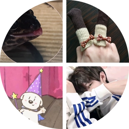 爬宠饲养交流群 群聊头像
