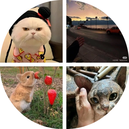 洛克王国 群聊头像