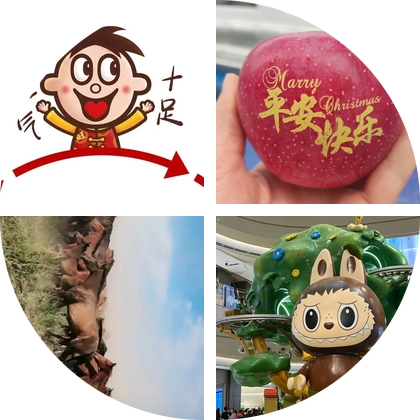 主城本科 5群 群聊头像