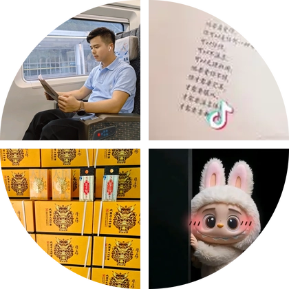 深圳公办入学交流群 群聊头像
