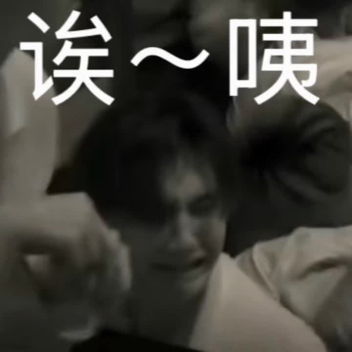 陈哲远的“姨”来了没